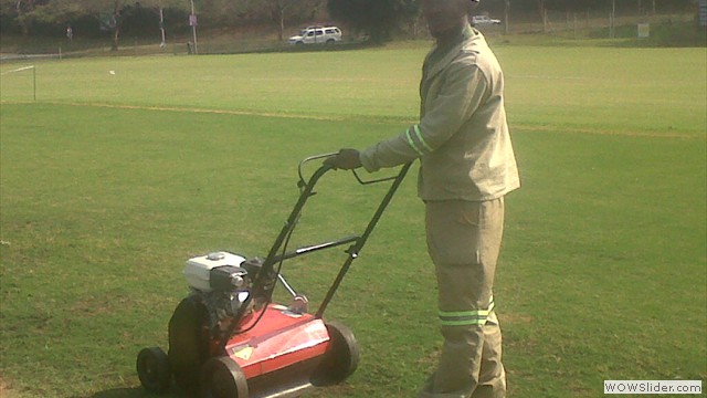 cricket patch maintenance with sacrifer