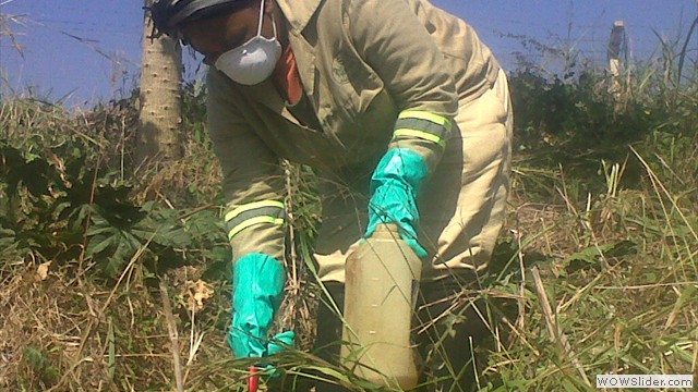 Invasive chop and paint